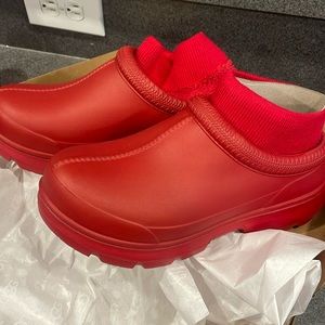 Ugg Clogs
